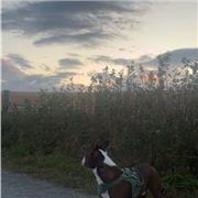 would you like to learn something new? i would be happy to help you!